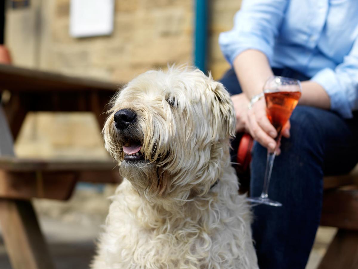 The Pilsley Inn - Chatsworth บาสโลว์ ภายนอก รูปภาพ
